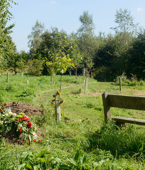 A peaceful green burial site in Vancouver with natural surroundings and eco-friendly grave markers.