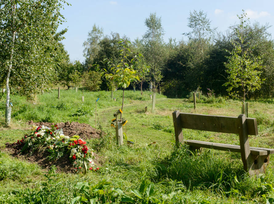 A peaceful green burial site in Vancouver with natural surroundings and eco-friendly grave markers.